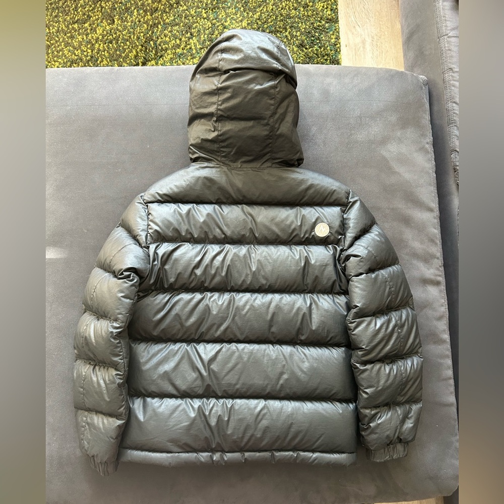Boys Marmot